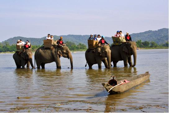 Yok Don National Park